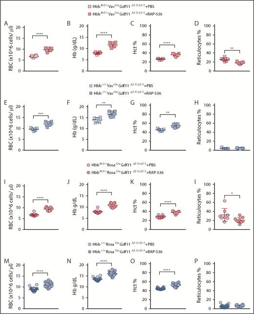 Gdf11 deletion from the hematopoietic compartment or pancellularly from all tissues did not suspend RAP-536 action.Hbbth3/+VavCreGdf11Δ2-3/Δ2-3 mice treated with RAP-536 (n = 7) showed increased RBCs (A), Hb (B), and Hct (C), as well as reduced reticulocytes (D), compared with phosphate-buffered saline (PBS)-treated controls (n = 6). Hbb+/+VavCreGdf11Δ2-3/Δ2-3 mice also exhibited increased RBCs (E), Hb (F), and Hct (G). No statistically significant difference was found in reticulocyte number (H). VavCreGdf11Δ2-3/Δ2-3 mice were treated with RAP-536 between 3 and 4 months. Similarly, Hbbth3/+RosaCreGdf11Δ2-3/Δ2-3 mice (n = 9) and Hbb+/+RosaCreGdf11Δ2-3/Δ2-3 mice (n = 20) treated with RAP-536 exhibited increased RBC (I,M), Hb (J,N), and Hct (K,O) levels compared with Hbbth3/+RosaCreGdf11Δ2-3/Δ2-3 (n = 8) and Hbb+/+RosaCreGdf11Δ2-3/Δ2-3 (n = 20) PBS-treated animals. (L) Hbbth3/+RosaCreGdf11Δ2-3/Δ2-3 mice showed a significant reduction in reticulocytes. (P) No statistical differences were observed in reticulocytes from Hbb+/+RosaCreGdf11Δ2-3/Δ2-3 animals. RosaCreGdf11Δ2-3/Δ2-3 animals were treated with RAP-536 between 4 and 7 months. CBCs were assessed 2 days after last dose of RAP-536 treatment. Females and males were included in the analysis of all groups. CD34+ cells did not respond to RAP-536 in vitro. (Q) Treatment of CD34+-derived cells isolated from healthy donors with 5 µg/mL or 150 µg/mL RAP-536 (n = 3) did not result in increased cell number at the end of erythroid differentiation assay day 8 (DD8). mRNA levels of GDF11 and ACVR2B were low in human thalassemia and healthy erythroid progenitor cells. Quantification of GDF11 and ACVR2B mRNA in thalassemia (R) and healthy (S) donor-derived erythroblasts showed low GDF11 and ACVR2B expression relative to HPRT after day 1 (DD1) and day 4 (DD4) of differentiation in an erythroid differentiation assay, as determined by qRT-PCR (n = 3). BT CD34+ cells showed higher relative levels of GDF11 compared with healthy CD34+ cells. RHO was used as a negative control (data not shown), and TFRC and GYPA were used as positive controls. Gdf11 and Acvr2b mRNA was expressed at low levels in splenic Ter119+ cells isolated from PBS- and RAP-536–treated Hbbth3/+ mice. (T) Erythroid cells, isolated from the spleens of PBS-treated Hbbth3/+ mice and RAP-536–treated mice, were analyzed for Cd71 and Ter119 marker expression before mRNA extraction. (U) mRNA from Ter119+ cells isolated from the spleens of Hbbth3/+ PBS- and RAP-536–treated mice was analyzed for Gdf11 and Acvr2b by qRT-PCR; results show low expression relative to Hprt compared with Tfrc and Gypa in either group. Rho was used as a negative control (data not shown). Data are mean ± standard deviation. *P ≤ .05, **P ≤ .01, ***P ≤ .001, ****P ≤ .0001, Student t test.