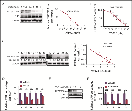 Figure 5. Pharmacological inhibition of PRMT1 reduces FLT3-ITD+ AML growth and survival. (A) Western blotting analysis of FLT3 R972/973 me2a in MV4-11 cells treated with the indicated doses of MS023 (left panel). Quantitative analysis of R972/973 me2a levels based on ImageJ software (right panel). (B) Viability of MV4-11 cells treated with the indicated doses of MS023, based on a CellTiter Glo assay. **P < .01, ***P < .001 vs vehicle. (C) CD34+ cells from FLT3-ITD+ AML (n = 11) were treated for 5 days with MS023 at various doses. Basal FLT3 R972/973 me2a levels are shown (left panels). Linear regression analysis of those R972/973 me2a levels and MS023 50% inhibitory concentration (right panel). Correlation was calculated as an R value, and significance was determined by Pearson correlation. (D) CFC assay of primary FLT3-ITD+ AML (n = 5) CD34+ cells treated with 5 µM MS023 or vehicle. *P < .05, **P < .01. (E) Western blotting analysis of FLT3 R972/973 me2a in MV4-11 cells treated with the indicated doses of TC-E-5003. (F) CFC assay of primary FLT3-ITD+ AML (n = 4) CD34+ cells treated with 3 µM TC-E-5003 or vehicle. **P < .01, ***P < .001. Results represent mean ± SD.