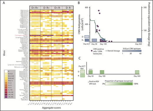 Figure 1. Visual representations of VirScan scores over time in HCT pairs. (A) Aggregated heat map with 5 longitudinal samples, grouped by CMV serostatus of the HCT donor-recipient pair (D+/R+, D−/R+, D+/R−, D−/R−). Colors correspond to mean numbers of epitopes recognized within all samples belonging to that group (range <1 to 40 mean recognized epitopes). White designates no epitope recognition in any sample (mean = 0). Attention to CMV row (red label) shows distinct differences over time by CMV serostatus as determined by Food and Drug Administration–approved serology. A threshold of 6 VirScan epitopes performs optimally against clinical serology (B) CMV epitopes detected by VirScan vs clinical reactivation of CMV in a D−/R+ recipient who also received high daily doses of systemic steroids for GVHD. Each quantitative antigenemia value is depicted by a purple dot and daily steroid dose by the orange line. (C) Acquisition of respiratory syncytial virus (RSV) epitopes during lower respiratory tract infection in a susceptible patient (D−/R+ for RSV); RSV was detected in upper and lower respiratory samples by direct fluorescent antibody (DFA) on 4 individual samples (DFA in clinical use, shown with asterisks). HPV, human papillomavirus; MPV, human metapneumovirus; HHV, human herpesvirus; SARS, severe acute respiratory syndrome; pre-D, pre-HCT donor sample; pre-R, pre-HCT recipient sample.