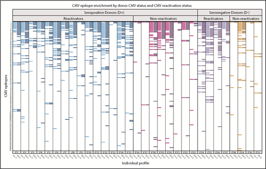 Figure 7. Recognition of individual CMV epitopes among HCT recipients who reactivated or did not reactivate CMV in the first 100 days after hematopoietic cell transplantation. Each row represents a unique CMV peptide, and peptides are ranked in descending order of frequency of recognition among all participants. Each labeled column (eg, P1) contains 2 samples, one from the recipient pre-HCT (pre-R, lighter bars within each color) and the other at 100 days post-HCT (d100, darker bars). Participants with seropositive donors (D+) are on the left, further stratified as to whether they demonstrated CMV reactivation before d100 (≥100 copies of CMV per milliliter by plasma PCR or ≥2 cells positive for CMV pp65/2 × 106 cells), reactivators in blue (n = 15) and nonreactivators in magenta (n = 8). Participants with seronegative donors (D−) are also stratified by CMV reactivation (purple; n = 4) or no reactivation (red; n = 4). Visually, those who reactivated (either D+ or D−) generally expressed more CMV epitopes. There was a trend toward reactivators having more heterogeneity in expressed epitopes before and after reactivation (42.1% vs 8.3%, P = .1). Three participants (P3, P4, and P25) who had confirmed diagnoses of CMV disease, which was gastrointestinal disease in all cases, are annotated with an asterisk. Six of 37 participants who were missing either sample are not displayed.