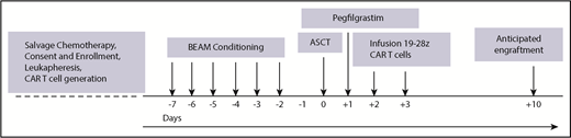 Figure 1. Study treatment schema. BEAM, carmustine, etoposide, cytarabine, and melphalan.