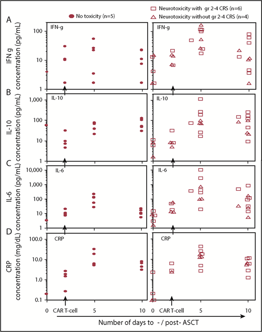 Figure 3. Serum cytokines and CRP levels in subjects developing toxicities. (A) IFN-γ (IFN-g), (B) IL-10, (C) IL-6, and (D) CRP concentrations increase after infusion of CAR T cells (2 days following ASCT) in all patients. Both IFN-γ and IL-10 increased significantly at day 5 post-ASCT in subjects developing a neurotoxicity plus or minus CRS than in subjects without toxicities (P < .001 and P = .07, respectively). There was a trend for significant increase of IL-6 concentration in subjects with CRS than in subjects without CRS. Increases in CRP levels were similar in subjects with and without toxicities.