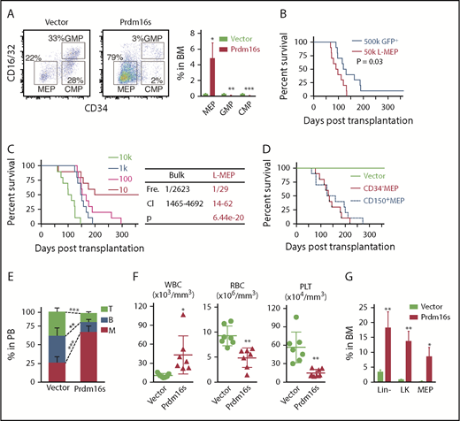 Figure 2. MEPs initiate myeloid leukemias upon Prdm16s expression. (A) Flow cytometric plots showing the expansion of MEPs but not GMPs or common myeloid progenitors (CMPs) in mice transplanted with Prdm16s-transduced LSK cells in comparison with vector-transduced cells. Cells are gated on lineage−Sca-1−c-kit+ (LK) cells (n = 10). (B) Survival of mice after transplanting 500 000 GFP+ bulk leukemia cells or 50 000 MEPs isolated from primary recipient mice (n = 10). (C) A limiting dilution transplantation assay revealed that L-MEPs are highly enriched for LICs (1 in 29; n = 10). Frequency (Fre), 95% confidence interval (CI), and P value are shown on right. (D) CD34− or CD150+ MEPs were isolated from wild-type mice, and transplantation of these cells after transducing with Prdm16s caused myeloid diseases with similar latencies (n = 10). (E-G) Recipient mice (n = 5) of Prdm16s-transduced, but not vector-transduced, MEPs had expansion of myeloid cells compared with recipient mice (E), increased white blood cells (WBCs) and reduced red blood cells (RBCs) and platelets (PLTs) (F), and increased lineage−, lineage−Sca-1−c-kit+ (LK), and MEPs (G). All data represent mean ± standard deviation. *P < .05, **P < .01, ***P < .001 by Student t test, except for comparison of survival curves, in which significance was assessed by log-rank test. BM, bone marrow; PB, peripheral blood.
