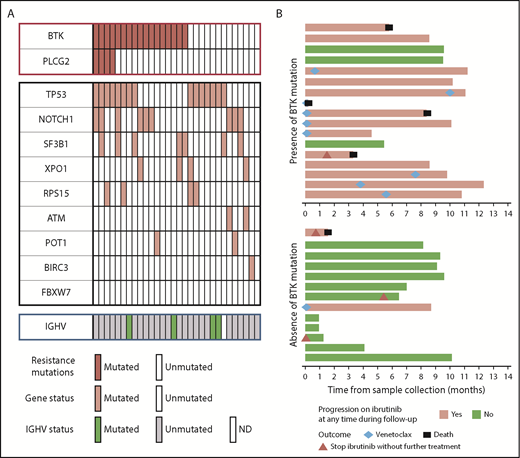 Figure 1. Findings in patients with CLL clone ≥0.5 × 109/L (N = 30). (A) Mutational profile, by NGS. Each column represents a patient. BTK mutations had no association with TP53 mutations or other mutations. PLCG2 mutations were all associated with BTK mutations and TP53 mutations. (B) Outcomes subsequent to sample collection in presence (n = 17) or absence (n = 13) of BTK mutations, with regard to CLL progression and treatment. Each bar represents a patient. IGHV, immunoglobulin heavy chain variable gene; ND, not determined.