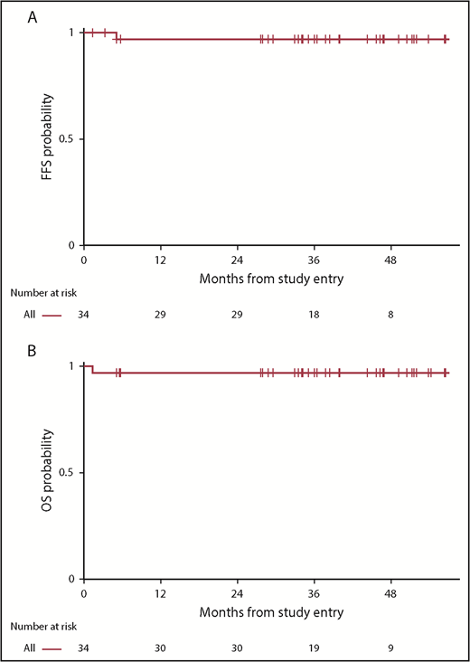 Figure 1. FFS and overall survival (OS). (A) FFS and (B) OS for all patients. Median length of follow-up is 38 months. The median FFS and OS have not been reached.
