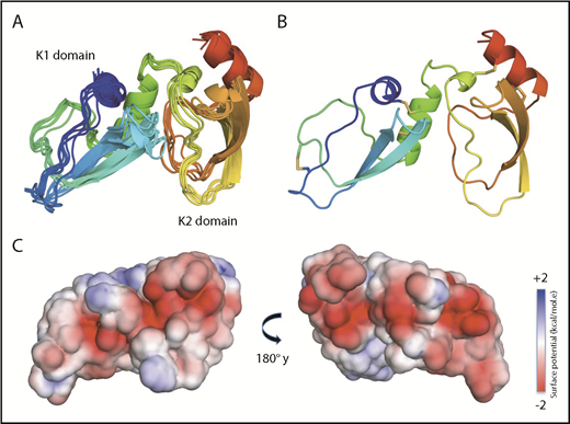 Figure 1. NMR solution structure of Ixolaris. (A) Ribbon diagrams of the 10 lowest-energy models of the Ixolaris calculated by the CS-Rosetta/RASREC program with chemical shifts and long-range NOEs. The ensemble is converged to an average backbone RMSD of 1.39 Å over the core residues. (B) The lowest-energy structure of Ixolaris. The 5 disulfide bonds are shown as sticks. (C) Solvent-accessible surface representation with electrostatic potential −2 kcal/(mol·e) in red and +2 kcal/(mol·e) in blue for Ixolaris as calculated in CHARMM-GUI PBEQ-Solver44 (PDB accession code 6NAN).