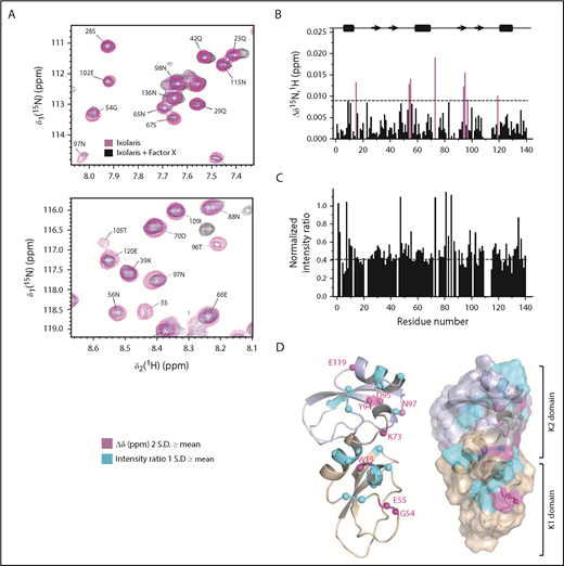 Figure 3. NMR characterization of Ixolaris-FX complex using 15N probes. (A) Overlays of representative regions from 2-dimensional 15N,1H HSQC spectra recorded in the free (magenta) and 0.5:1 FX-bound (black) state of the Ixolaris. (B) Histogram of CSPs and (C) peak intensity ratio (Ibound/Ifree) as a function of Ixolaris residue number. The dashed line indicates the magnitude of the CSPs corresponding to the 2 standard deviation greater than the mean. (D) Mapping of amides probes on the NMR structure of Ixolaris with K1 domain colored wheat and K2 domain colored light blue. Two types of observed changes are highlighted with different colors: residues with significant chemical shift changes are in magenta spheres (>2 standard deviation from the average), whereas residues with significantly attenuated intensity resonances (>1 standard deviation from the average) in the bound form are shown in cyan spheres.