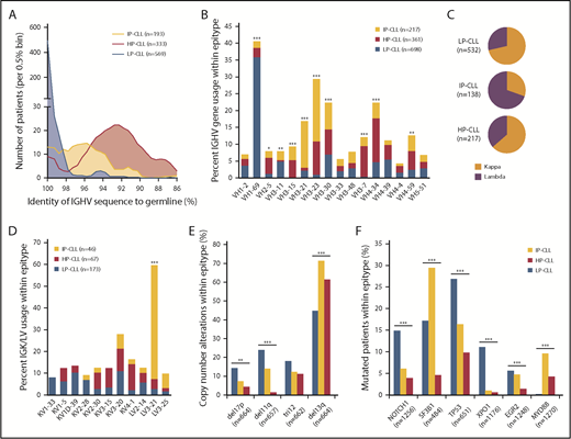 Figure 4. Distinct features of CLL epitypes revealed in combined analysis including all cohorts. (A) Epitype-specific distribution of IGHV mutations across 1095 patients (P < .0001). (B) Frequency of VH gene usage within epitype among the 16 most represented VH genes across all cohorts. (C) Frequency of immunoglobulin light chain usage within epitypes showing distinct usage of IGLV in IP-CLL (P < .0001). (D) Frequency of specific immunoglobulin light chain usage within epitypes among the 11 most frequent rearrangements. (E) Frequency of cytogenetic abnormalities by FISH within epitypes. (F) Frequency of most common recurrently mutated genes in CLL within epitypes. *P < .05, **P < .001, ***P < .0001, χ2 test with Bonferroni correction.