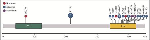 Figure 2. Schematic of ETV6 protein with functional domains and location of germ line mutations from 23 reported pedigrees. The number of families with alterations at the site is indicated in the circles if >1. A deletion that includes all of exon 2 has also been reported.44 *Germ line deletions in ETV6 involving splice sites.