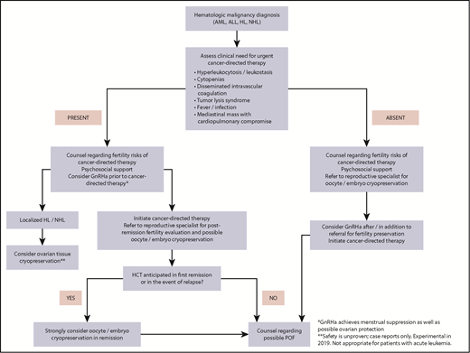 Figure 4. Fertility preservation approach for women (postpuberty) with newly diagnosed hematologic malignancy.