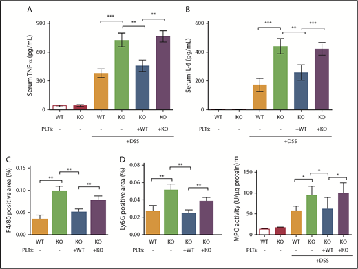 Figure 5. Platelet HYAL2 regulates serum inflammatory cytokines and inflammatory leukocyte infiltration in mice with DSS-induced colitis. Serum isolated from DSS-treated and control mice at 7 days was tested for (A) TNF-α and (B) IL-6 by using an enzyme-linked immunosorbent assay. (C) F4/80-positive area expressed as the percentage of total area. (D) Ly6G-positive area expressed as the percentage of total area. (E) MPO activity was measured in distal colon lysates of untreated and DSS-treated mice with or without platelet transfusion at 7 days. Data are reported as mean ± SEM; n = 10 mice per group. *P < .05; **P < .01; ***P < .001.
