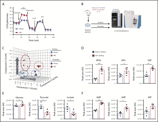 Figure 4. Platelets from young and old mice have a distinctive mitochondrial respiration and metabolome. (A) Bioenergetics Seahorse analysis of platelets from young and old mice shows that platelets from old mice have significantly higher respiration upon activation with 0.1 U/mL thrombin (n = 4-6 mice per group; mean plus or minus SEM). (B) Platelet metabolomics experimental approach. (C) Partial least squares discriminant analysis (PLS-DA) of platelets from young and old mice at resting and activated state shows distinctive metabolomic profiles of platelets due to age and activation (n = 4 mice per group; plus or minus SEM). (D) Pentose phosphate pathway metabolites of platelets from old mice are elevated at baseline and show preferential glycolytic metabolism at baseline. (E) TCA cycle upstream metabolites glucose, pyruvate, and lactate between platelets of young and old mice. (F) Differences in the adenylates AMP, ADP, and ATP between platelets from young and old mice. *P < .05; **P < .01; and ***P < .001. Student t test and Mann-Whitney test. AU, arbitrary unit; FCCP, carbonylcyanide p-trifluoromethoxyphenylhydrazone; LC-MS, liquid chromatography–mass spectrometry; R/A, rotenone/antimycin A.