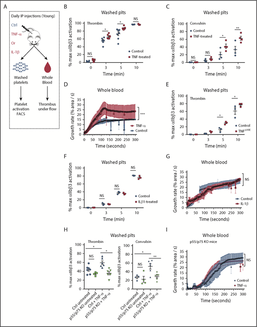 Figure 5. Platelets from young mice exposed to TNF-α in vivo for 20 consecutive days become hyperreactive. (A) Experimental approach. Representative flow cytometry assessment of the activation of the ⍺IIbβ3 integrin of washed platelets (plts) from young mice treated with TNF-⍺ or control (ctrl) for 20 days after activation with (B) thrombin (0.1 U/mL) or (C) convulxin (50 ng/mL), (n = 4-6; mean plus or minus SEM). (D) Whole blood microfluidics assay. Platelet adhesion to collagen-coated slides under flow of young mice treated with TNF-⍺ or control for 20 days (n = 4; mean plus or minus SEM). (E) Representative flow cytometry assessment of the activation of the ⍺IIbβ3 integrin of washed platelets from TNFΔARE or littermate controls (n = 3; mean plus or minus SEM). (F) Representative flow cytometry assessment of the activation of the ⍺IIbβ3 integrin of washed platelets from young mice treated with IL-1β or control for 20 days (n = 3; mean plus or minus SEM). (G) Whole blood microfluidics assay. Platelet adhesion to collagen-coated slides under flow of young mice treated with IL-1β or control for 20 days (n = 4; mean plus or minus SEM). (H) Flow cytometry assessment of the activation of the ⍺IIbβ3 integrin of washed platelets from young C57BL/6J and p55/p75 KO mice treated with TNF-⍺ or control for 20 days after activation with thrombin (0.1 U/mL) or convulxin (50 ng/mL; n = 4-6; mean plus or minus SEM). (I) Microfluidics analysis of whole blood flowed over collagen-coated slides of young C57BL/6J and p55/p75 KO mice treated with TNF-⍺ or control for 20 days (n = 4; mean plus or minus SEM). *P < .05; **P < .01; and ***P < .001. Student t test and Mann-Whitney test. IP, intraperitoneal.