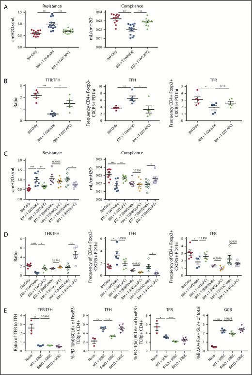 Figure 1. Therapy with WT APC or signaling-selective 5A-APC improves GVHD/BO and requires arginine 46 (R46) in PAR1 expressed on donor T cells. B10.BR (H2k) mice were conditioned with 120 mg/kg cyclophosphamide for 2 days, followed by 830 cGy TBI. On day 0, mice were transplanted with C57BL/6 (H2b) T-cell depleted BM and purified splenic T cells (7 × 104). Mice were allowed to develop disease and were treated daily with 6 µg of recombinant murine WT APC (A-B) or 5A-APC (C-D; abbreviated herein as APC) intraperitoneally from days 28 to 56. (A,C) Pulmonary function tests were performed on day 56 by measuring resistance and compliance after treatment. (B,D) Spleens of BM-only (no cGVHD) or cGVHD mice, treated as indicated, were analyzed on day 56 for the frequency of TFHs, frequency of TFRs, and TFR/TFH ratio. Three (A) or 2 (C) experiments were performed for pulmonary function, and 1 experiment was performed for flow cytometry with 4 or 5 mice analyzed per group (B,D). (E) Sheep red blood cells (SRBCs) were administered intraperitoneally (n = 4-6 mice per group). Seven days later, spleens and sera from naive or SRBC-immunized WT, arg46 (R46Q), or arg41 (R41Q)–mutated mice were analyzed. Data are mean ± standard error of the mean. *P < .05, **P < .01, ***P < .001, ****P < .0001.