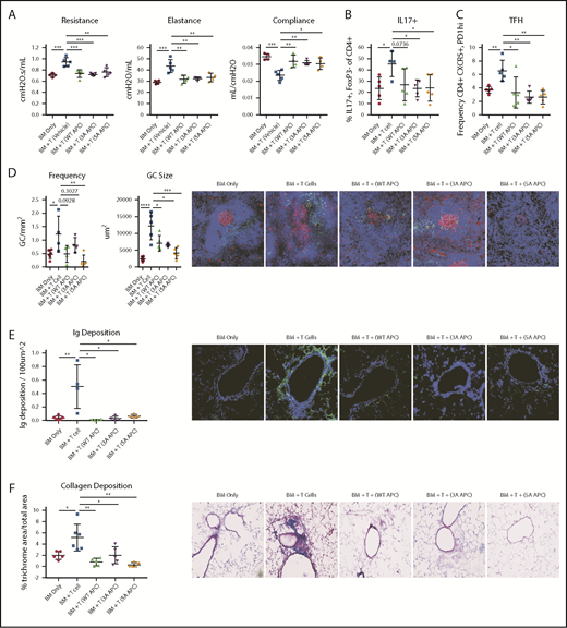 Figure 2. WT or signaling-selective APC-induced therapeutic improvement in cGVHD/BO involves decreased percentages of IL-17 and TFHs associated with reductions in GCs, Ig, and collagen deposition. cGVHD/BO was induced per Figure 1, and mice were given WT APC or signaling-selective 3A-APC or 5A-APC intraperitoneally from days 28 to 56. (A) Pulmonary function test results are shown. Spleens of BM-only (no cGVHD) or cGVHD mice, treated as indicated, were analyzed on day 56 by flow cytometry for IL-17+ T cells (B) and TFHs (C). (D) Immunofluorescent microscopy and quantitative imaging were performed for spleen GC size and frequencies. (E) Lung Ig deposition data using 4′,6-diamidino-2-phenylindole (blue) and anti-IgG-FITC (green) (BD Pharmigen). (F) Lung collagen deposition was analyzed by Masson’s trichrome staining. One experiment is shown, with 4 or 5 mice analyzed per group. Mean values ± standard error of the mean are shown. Original magnification ×200 for panels D-F. *P < .05, **P < .01, ***P < .001, ****P < .0001.
