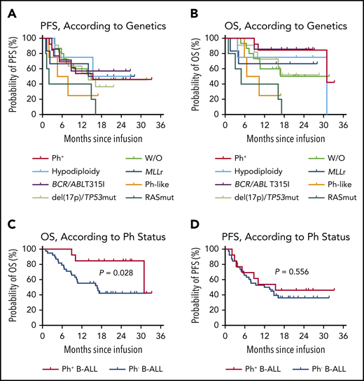 Prognostic impact of genetic abnormalities in patients with B-ALL after CAR19/22 T-cell cocktail therapy. PFS (A) and OS (B), according to risk-stratified genetic subtypes. In the patients with Ph+, the median PFS was 15.4 months (95% CI, 3.4-NR), and the median OS was 31.0 months (95% CI, 31.0-NR). In the patients with hypodiploidy, the median PFS was NR (95% CI, 3.8-NR), and the median OS was 31.0 months (95% CI, 3.8-31.0). In the patients with T315I mutation in ABL kinase, the median PFS and median OS were NR. In the patients with del(17p) or the TP53 mutation, the median PFS was 14.0 months (95% CI, 4.9-NR), and the median OS was NR. In the patients with MLL rearrangements, the median PFS and median OS were NR. In the patients with Ph-like B-ALL, the median PFS was 6.2 months (95% CI, 2.0-NR), and the median OS was 8.5 months (95% CI, 5.9-NR). In the patients with RAS pathway mutations, including mutations in genes NRAS, KRAS, and PTPN11, the median PFS was 2.0 months (95% CI, 1.0-16.2), and the median OS was 4.9 months (95% CI, 1.0-17.2). In the patients without the above-mentioned aberrations (W/O), the median PFS was 14.9 months (95% CI, 5.8-NR), and the median OS was NR (95% CI, 7.3-NR). PFS (C) and OS (D), according to Ph status. In the patients with Ph+, the median PFS was 15.4 months (95% CI, 3.4-NR), and the median OS was 31.0 months (95% CI, 31.0-NR). In the patients with Ph−, the median PFS was 12.8 months (95% CI, 5.8-NR), and the median OS was 16.7 months (95% CI, 8.9-NR).