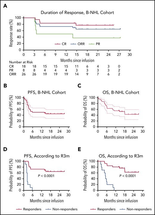Outcomes in patients with B-NHL after CAR19/22 T-cell cocktail therapy. (A) The duration of response in the 26 patients with B-NHL who achieved an overall response, including patients with CR and those with a PR. PFS (B) and OS (C) in the entire B-NHL cohort. The median PFS was 9.9 months (95% CI, 3.3-NR), and the median OS was 18.0 months (95% CI, 6.1-NR). PFS (D) and OS (E), according to the response status at month 3 after CAR19/22 T-cell cocktail therapy. Of the patients who achieved an overall response at month 3 (responders), the median PFS and median OS were NR. Of the patients who did not have a response at month 3 (nonresponders), the median PFS was 2.4 months (95% CI, 1.0-2.7), and the median OS was 5.1 months (95% CI, 1.9-6.1).