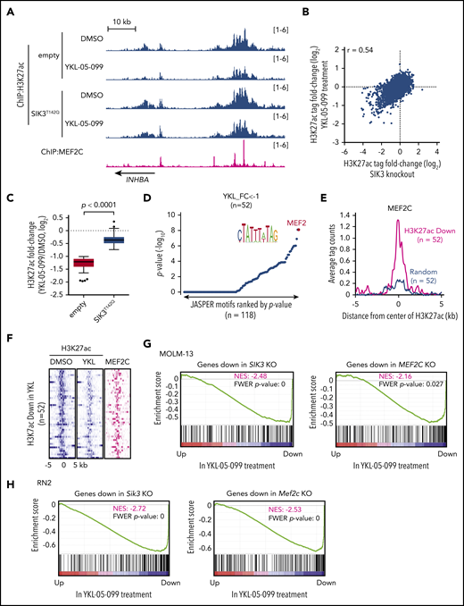YKL-05-099 interferes with MEF2C-dependent transcriptional activation. (A) ChIP-seq profiles of H3K27ac and MEF2C at the indicated genomic loci, chosen because H3K27ac is decreased in MOLM-13 cells by YKL-05-099 treatment. For H3K27ac ChIP-seq, cells were harvested after 2-hour treatment with DMSO (0.1%) or 250 nM YKL-05-099. (B) Scatterplot of H3K27ac fold-change after SIK3 knockout or YKL-05-099 treatment at 16 437 genomic sites of H3K27ac enrichment. (C) Box plots of fold change of downregulated H3K27ac signals in MOLM-13 cells treated with DMSO or 250 nM YKL-05-099 for 2 hours. MOLM-13 cells express either an empty vector or SIK3T142Q cDNA. (D) TRAP motif enrichment analysis of DNA sequences with decreased H3K27ac after YKL-05-099 treatment. (E) A meta profile of MEF2C occupancy at the genomic regions exhibiting H3K27ac log2-fold change of <−1 after YKL-05-099 treatment vs a randomly chosen set of H3K27ac-enriched sites. (F) ChIP-seq density plot at regions with decreased H3K27ac after YKL-05-099 treatment. Enhancers are ranked by fold change of H3K27ac after treatment. (G) GSEA, which evaluates how treating MOLM-13 cells with YKL-05-099 (250 nM, 2 hours) influences previously defined gene signatures that were suppressed after SIK3 or MEF2C knockout in this cell type.22 Normalized enrichment score (NES) and family-wise error rate (FWER) P value are shown. (H) GSEA that evaluates how treating RN2 cells with YKL-05-099 (250 nM, 2 hours) influences gene signatures that are suppressed after Sik3 or Mef2c knockout in this cell type. NES and FWER P value are shown.