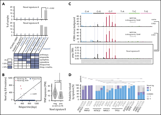Causes and consequences of the 2 novel mutational signatures. (A) Detection of novel signatures in additional cohorts of primarily diagnosis (black text) or relapse (blue text) samples. Number of tumor samples is indicated in parentheses. Heatmap at bottom depicts percentage of patients receiving indicated therapy in the relapsed cohort. anthracyc., anthracyclines; cyclophosph., cyclophosphamide; thiop., thiopurines; metho., methotrexate. P is by Fisher’s exact test. PCAWG, Pan-Cancer Analysis of Whole Genomes. Shanghai refers to our cohort. Asterisk indicates that a subset of relapsed AMLs from TARGET (14 of 95) received thiopurines but only for ≤2 weeks, an insufficient time to generate the signature as shown in panel B, as part of the CCG-2961 trial. (B) Left, correlation between relapse time and novel signature B strength. Blue indicates approximate time periods of thiopurine treatment in 17 cases for which detailed clinical information was available; treatment end is indicated as 3 years as all patients ended treatment by that time (see supplemental Methods); r is Pearson correlation coefficient excluding novel signature A/B–positive (double-positive) cases (2 red points), which are also excluded from the indicated regression line. Right, TPMT expression based on RNA-Seq of diagnosis samples of novel signature B–negative or signature B–positive patients; P value is by 2-sample Student t test. (C) Mutational spectra of two MCF10A single-cell clones after treatment with 6-thioguanine 10 nM for 7 weeks. The y-axis represents the number of mutations in the treated clone minus the background mutation spectra averaged from 2 untreated single-cell clones. Bottom shows novel signature B; “cosine” indicates cosine similarity for indicated comparisons, and "prop. SNVs" indicates proportion of SNVs. Light vertical lines mark novel signature B–preferred trinucleotide mutation types for comparison. (D) Relapse-specific pathogenic mutations with ≥50% probability to be caused by the novel signatures at relapse. The y-axis represents the probability each variant was caused by a given signature, and each variant represents a relapse-specific mutation detected in a specific patient. Mutations in the same patient are shown as rectangles joined by lines (top). “S261 sp” represents a TP53 variant (chr17:7 577 157, T>G) likely affecting splicing, and the T125T variant also affects splicing.
