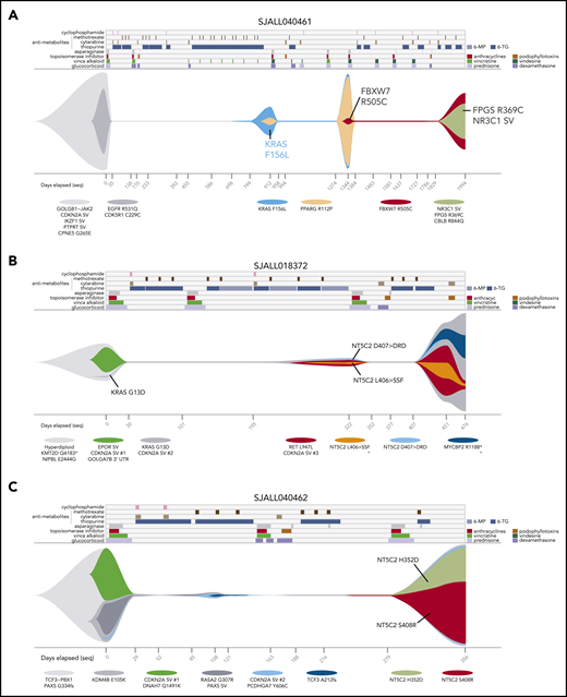 Serial sample analysis reveals dynamics of resistant clone evolution. Graphical representations (“fish plots”) of clonal evolution shaped by chemotherapy based on ultra-deep sequencing in patients SJALL040461 (A), SJALL018372 (B), and SJALL040462 (C). Treatment history is shown at the top, with drug treatment periods indicated by colors. 6-MP, 6-mercaptopurine; 6-TG, 6-thioguanine. MTX was given weekly during maintenance and is only shown at the beginning of a regimen during maintenance. Clonal evolution is shown in the middle with the vertical axis representing proportion of cells; normal cells are represented by white space. ALL clones are indicated in colors by representative mutations listed below. The minimum tumor purity values (thin line) indicate no detectable ALL cells by ultra-deep sequencing, and their clonal compositions at these times are inferred. Days from diagnosis are indicated at the bottom, with tick marks indicating time points at which samples were sequenced. Samples sequenced by WGS are indicated by black text and tick marks on x-axes, whereas samples with targeted deep sequencing only are shown in gray. In panels B and C, multiple independent CDKN2A deletions are indicated by CDKN2A SV #1, SV #2, and so forth. Variants with alternative possible clonal parentage are indicated by blue asterisks (B). In panel B, the VAF of NT5C2 D407 > DRD at day 322 is 0.007%, but it is shown as larger to enable visualization. In panel C, the surviving clones at days 108 and after are descended from the KMD4B (gray) clone; the KDM4B descendant PCDHGA7 (light-blue) clone and its descendants are dominant at day 356.