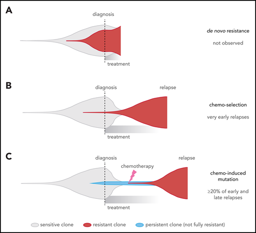 Comparison of different clonal evolution models leading to relapse. Clones are represented as in the fish plots in Figure 6, and time goes from left to right from time of disease initiation to relapse. Clone sizes are represented in the vertical direction. Chemotherapy-sensitive clones are indicated in gray, chemotherapy-resistant in red, and persistent clones (able to survive but not proliferate during chemotherapy) in blue. The time of diagnosis and treatment commencement are indicated by a dotted line. (A) The de novo resistance scenario, in which most cells are chemoresistant up-front and remission is never achieved; this was not observed in our cohort. (B) The chemo-selection scenario, in which a minor drug-resistant subclone survives chemotherapy and leads to relapse after an initial remission. Our mathematical modeling suggests that very early relapses (<9 months) are likely due to this mechanism. (C) The chemo-induced mutation scenario, in which no fully resistant subclone is present at the time of diagnosis. The drug-resistant subclone is derived from a population of cells that persisted (survived) during chemotherapy treatment but was not fully drug resistant because it could not actively proliferate sufficiently to cause relapse. This is supported by mutational signature and mathematical modeling in later relapse groups (specifically, the early and late relapse groups).