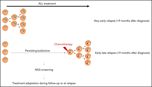 Schematic overview of the differences between very early and early-late relapse in pediatric ALL. NGS, next-generation sequencing.