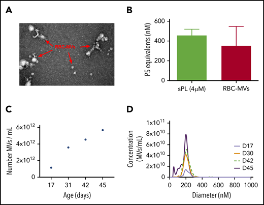 Structural characteristics of RBC-MVs. (A) RBC-MVs visualized by electron microscopy after negative staining. (B) PS expression on RBC-MVs or sPL vesicles (15% PS, 41% PE, 44% PC) measured using a prothrombinase activity assay. (C) Representative donor sample of the number of MVs per milliliter (of liquid fraction of transfusion unit) over storage time in days. (D) Size distribution and concentration of MVs per milliliter at the day of storage noted, from a representative donor sample.