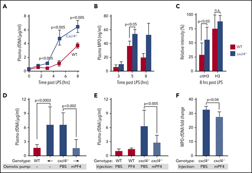 Effects of murine and human PF4 on circulating NDP levels following LPS exposure in WT and cxcl4−/−mice. (A) WT and cxcl4−/− mice received LPS (35 mg/kg, IP). Plasma samples were obtained at the indicated time points. Mean plasma cfDNA levels are shown as ± 1 standard deviation (SD). N = 7-14 mice per arm. P values are indicated comparing WT and cxcl4−/− mice using a Mann-Whitney U test. (B) The same as panel A, except for MPO levels at 3 to 8 hours post-LPS. (C) Histone levels comparing western blot intensity to that of the positive control band. N = 9-10 mice per arm. P values are indicated comparing WT and cxcl4−/− mice by Mann-Whitney U test. (D) LPS studies comparing WT and cxcl4−/− mice following implantation of osmotic pumps containing PBS alone or 80 µg of mPF4. Mean ± 1 SD are shown N = 5-8 mice per arm. (E) The same as panel D, except following a single dose of hPF4 (330 µg, IV). N = 5-8 mice per arm. (F) LPS studies comparing plasma levels of MPO-cfDNA complex in cxcl4−/− mice that received tail vein injections containing PBS alone or 330 µg of hPF4. N = 4-5 mice per arm. P values are indicated comparing WT and cxcl4−/− mice by Mann-Whitney U test.