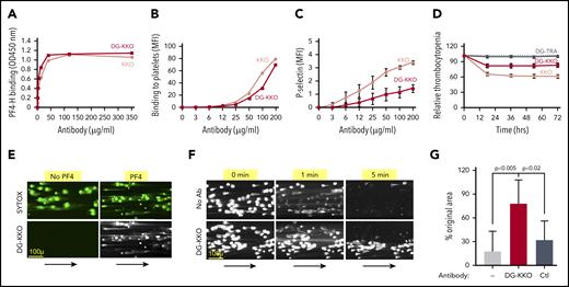 Binding of DG-KKO to PF4/NET complexes in vitro. (A) Graphs quantifying binding of increasing concentrations of KKO (gray) and DG-KKO (red) to PF4-heparin (PF4-H) using fluorescent plate assay. (B) The same as panel A but using flow cytometry to quantify antibody binding to the platelet surface. (C) Mean ± 1 SD of P-selectin MFI in human whole blood samples incubated with the indicated concentration of antibody, reflecting the degree of platelet activation. N = 3. (D) Mean ± 1 SD of the % decrease in platelets counts in HIT mice injected with 400 µg of the indicated antibody, measured every 12 hours for 3 days. N = 10. (E) Representative confocal images of released NETs as in Figure 2 exposed to no PF4 or 6.5 µg/mL of PF4, labeled with the nucleic acid stain SYOTX green (green) demonstrating change in morphology. The indicated channels were then infused with fluorophore-labeled DG-KKO (white). Size bar and arrows indicating direction of flow are included. Image were obtained at ×10 magnification. (F) Representative widefield images of adherent NETs as in panel A, but in the presence of 100 U/mL DNase I and 6.5 µg/mL PF4 ± 25 µg/mL of DG-KKO. (G) Mean ± 1 SD of the relative area of NETs compacted with PF4 (6.5 µg/mL) alone or with PF4 plus DG-KKO or a polyclonal anti-PF4 antibody control (Ctl) (each, 25 µg/mL) after an infusion of DNase I (100 U/mL, 3 minutes) compared with preinfusion area. N = 7-10 channels per condition. Comparative statistical analysis performed by Kruskal-Wallis 1-way ANOVA.