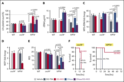 DG-KKO treatment in WT, cxcl4−/−, and hPF4+mice undergoing LPS endotoxemia. Mice were injection with LPS (35 mg/kg, IP). Thirty minutes later, they received tail vein injections containing vehicle alone or 5 mg/kg of DG-KKO or DG-TRA isotype control or DG-KKO plus DNase I (20 mg/kg). Six hours following LPS injection, a subset of mice was euthanized and IVC blood samples were collected. (A) Relative to baseline (dashed gray line), 6-hour time point platelet counts. Mean ± 1 SD shown. (B-E) The same as panel A, but for cfDNA concentration, MPO-cfDNA complex fold change relative to negative control, MCP-1 levels as measured by fold change in western blot bandwidth relative to GAPDH control, and MSS. N = 3-10 in each arm. Comparative statistical analysis was performed with a Kruskal-Wallis 1-way ANOVA. (F) Animal survival results for the LPS studies in the cxcl4−/− mice and hPF4+ mice. Results were analyzed with the log-rank test. n = 5 animals per arm.
