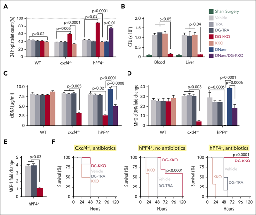 DG-KKO treatment in cxcl4−/−and hPF4+mice undergoing CLP injury. All the mice underwent CLP procedure. Immediately following surgery, a subset of mice received an intradermal dose of the antibiotic ceftriaxone (100 mg/kg). Mice also were divided by therapeutic intervention, receiving either vehicle only or 5 mg/kg of TRA, DG-TRA, KKO, or DG-KKO. After 24 hours, platelet counts were quantified. After 48 hours, bacterial CFUs, plasma NDP levels, and survival were measured. Mean ± 1 SD shown. (A) Relative platelet counts 24 hours after CLP injury measured as in Figure 4A. (B) CFUs as measured in the peripheral blood and liver homogenates of animals 48 hours following CLP. Black bars indicate animals that underwent sham surgery. (C-D) The same as Figure 4B-C, respectively, but 48 hours after CLP injury. (A-D) N = 6-10 animals per arm. Statistical analysis performed with a Kruskal-Wallis 1-way ANOVA. (E) Plasma MCP-1 levels in hPF4+ mice, measured as in Figure 4D. n = 5. Analysis with a Kruskal-Wallis 1-way ANOVA. (F) Animal survival results for the CLP studies. N = 10. Statistical analysis performed with a log-rank (Mantel-Cox) test, showing a significant increase in survival in hPF4+ mice treated with DG-KKO compared with those treated with vehicle alone, KKO, or DG-TRA with and without antibiotics (P < .0001).