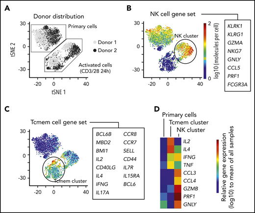 Short-term kinetic assessment of primary iNKT cells with a targeted scRNA-seq approach. (A) Sequencing of 4000 iNKT cells targeting RNA expression of 312 T-cell–associated genes from 2 healthy donors. The cells from each donor were experimentally divided into 2 fractions: primary cells that received no in vitro activation and cells that were activated in vitro with CD3/CD28 Dynabeads overnight. The data have been dimensionally reduced and displayed as a tSNE plot. (B-D) Combined expression of (B) genes associated with an NK-cell phenotype, (C) genes associated with memory T cells (Tcmem), and (D) distribution of gene expression of immunologically relevant effector molecules across the clusters.
