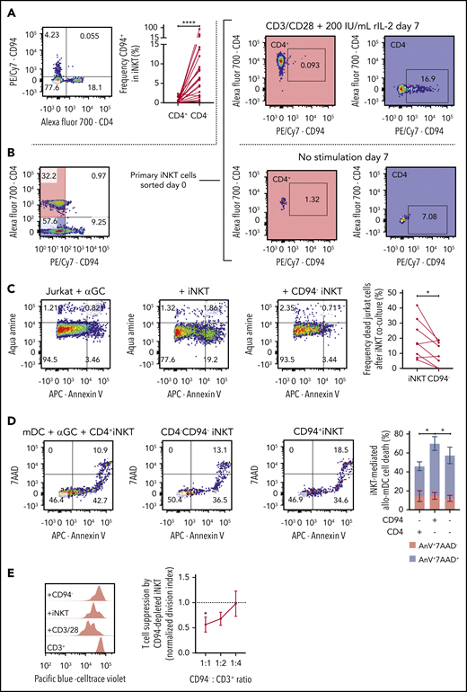 Function of CD94+ iNKT cells. (A) Representative plot of CD4 and CD94 expression in primary iNKT cells (n = 23). (B) Representative plots from experiment showing mutually exclusive expression of CD4 and CD94. Primary iNKT cells were purity sorted by flow cytometry based on the highlighted populations CD4+CD94– and CD4–CD94–. The cells were then cultured for 7 days with or without stimulation with CD3/CD28 Dynabeads and IL-2. Plots on the right show the expression of CD94 gated on the CD4+ and the CD4– population on day 7. (C) Cytotoxicity of iNKT cells. CD1d+ Jurkat cells were incubated with α-galactosylceramide (αGC) overnight (far left). Bulk iNKT cells (left) or CD94-depleted iNKT cells (right) were then added in a 1:1 ratio. CD94-depleted iNKT cells induced significantly less apoptosis in target cells compared with bulk iNKT cells (far right, n = 8). (D) Allogeneic cytotoxicity toward APCs. Allo-myeloid dendritic cells (mDCs) were pulsed with αGC and mixed with iNKT cells sorted by FACS in a 1:1 ratio (n = 6). Cell death was measured using 7-aminoactinomycin D (7AAD) and Annexin V (AnV). The plot (far right) shows frequency of 7AAD+AnnexinV+ mDCs (blue) and 7AAD–AnnexinV+ mDCs (red). CD94+CD4– iNKT cells induced significantly more mDC death than CD94–CD4– and CD94–CD4+ iNKT cells. (E) Immune regulatory function of CD94+ iNKT cells. Purified CD3+ T cells were stimulated with CD3/CD28 Dynabeads for 72 hours. Addition of CD94-depleted iNKT cells in a dose-dependent manner decreased the proliferation of the T cells (n = 6). Means ± standard error of the mean (A,C-E).*P = .05-.01; ****P < .0001.