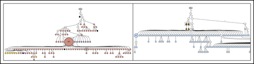 Lineage trees for patient 5, showing the N-gly site status of each subclone. The left panel represents the lineage tree of the first relapse event, whereas the right panel represents part of the lineage tree of the third relapse event. Black nodes represent nodes that are absent of N-gly site found in the major clone. Nodes differing in color to the major clone represent subclones with different N-gly site codon sequences. The 4 nodes split into 2 colors (black and orange) in the right panel represent subclones that are absent for the N-gly site found in the major clone of the third relapse (NLT) event, but are positive for the N-gly site found in the first relapse event (NFS). Shared subclones are highlighted in boxes. The full lineage tree of the third relapse event is provided in supplemental Figure 2B.
