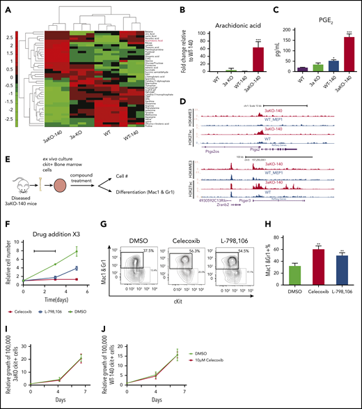 Dnmt3a−/−;Idh2R140QHSPCs overproduced PGE2 and were sensitive to prostaglandin synthesis and signaling inhibition. (A) Metabolomics profiling of 4 genotypes in 5 million donor-derived c-kit+ bone marrow cells. Relative abundance of metabolites is shown in the heat map. (B) Relative arachidonic acid level in c-kit+ bone marrow cells from 3aKO-140, 3aKO and WT relative to WT-140 from panel A. Mean ± standard deviation (SD; n = 3 per group); ***P < .001, compared with WT-140, by Student t test. (C) Amount of prostaglandin E2 secreted into the culture medium by c-kit+ cells from the 4 genotypes. *P < .05; ***P < .01, compared with WT, by 1-way ANOVA and post hoc Bonferroni test. (D) Active chromatin state of 3aKO-140 and WT MEP at the Ptgs2 and Ptger3 loci. (E) Experimental scheme of prostaglandin compound test. (F-H) Growth inhibition (F) and differentiation induction (G-H) in 3aKO-140 cells treated with 10 μM celecoxib and 10 μM L-798 106. Mean ± SD is shown (n = 3 per group). **P < .01, by Student t test. Three biological replicates were performed for each group. Representative flow plot is shown. (I) The growth curve of Dnmt3aKO c-kit+ bone marrow cells under DMSO and 10 μM celecoxib treatment. Mean ± SD (n = 3 per group). (J) The growth curve of WT-IDH2R140Q c-kit+ bone marrow cells under DMSO and 10 μM celecoxib treatment. Mean ± SD (n = 3 per group).