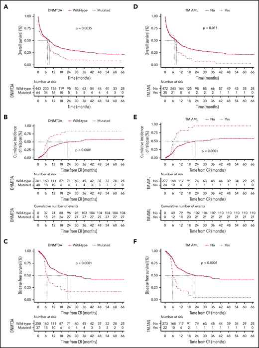 Probability according to DNMT3A mutations. The probability of overall survival (A), cumulative incidence of relapse (B), and disease-free survival (C) in patients with AML according to DNMT3A mutations. Overall survival (D), cumulative incidence of relapse (E), and disease-free survival (F) in triple-mutated (TM-AML) patients. Survival curves were estimated using the Kaplan-Meier method, and the log‐rank test was used for comparison. Cumulative incidence curves for nonrelapse death and relapse with or without death were constructed to reflect time to relapse and time to nonrelapse death as competing risks. Time to relapse and time to nonrelapse death were measured from the date of complete remission. Multivariate Cox model for overall survival (G) and disease-free survival (H).