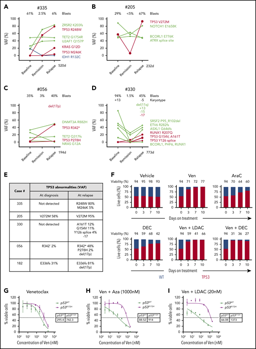Impact of TP53 defects on venetoclax combinations. (A-D) Dynamic changes in clonal architecture from diagnosis to relapse in 4 illustrative cases with TP53 mutations. The VAF of each mutation is shown, along with the bone marrow blast count at the corresponding time point. The time elapsed from remission to treatment failure is shown in days. (E) Interval changes in chromosome 17 and TP53 at diagnosis and relapse. Patterns of clonal evolution of biallelic TP53 abnormalities in 5 AML cases at relapse. Changes in TP53 VAF % were quantitated by targeted NGS. Changes in chromosome 17 were assessed using standard karyotypic techniques. (F) Competitive growth assay comparing the survival of TP53 WT (gray) and TP53 CRISPR/Cas9–deleted (red) in MV4;11 cells during exposure to vehicle, venetoclax 100 nM, cytarabine (ara-C) 500 nM, decitabine 1 µM, venetoclax 100 nM plus low-dose cytarabine (LDAC) 100 nM, or venetoclax 100 nM plus decitabine (DEC) 1 µM in culture over a period of 10 days. The proportion of each cell genotype was indicated by a fluorescent reporter and enumerated by flow cytometry. The total cell viability (%) is shown above each bar. (G-I) Viability of RN2 cells (TP53 WT, p53WT) or p53R172H/Δ murine AML cell lines after exposure to venetoclax (G), venetoclax plus azacitidine (1 μM) (H), or venetoclax plus cytarabine (20 nM) (I) for 48 hours. The tables indicate the 50% inhibitory concentration values (nM). Errors represent the standard deviation of 3 technical replicates.