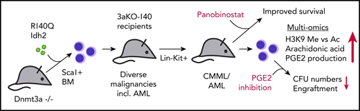 Sca1+ bone marrow (BM) cells from 3aKO mice were retrovirally transduced with R140Q mutated Idh2 (140) and subsequently transplanted in recipient mice in comparison with their single- and nonmutated WT counterpart cells. Recipients of double-mutated (3aKO-140) cells develop severe hematologic malignancies, including AML, earlier than mice receiving 3aKO cells alone. Lin−Kit+ cells harvested from 3aKO-140 injected mice induce CMML or AML in all secondary recipients. Multi-omics approaches reveal an imbalance of H3K9 methylation vs acetylation and overproduction of AA and PGE2. Treatment of mice with the HDACi restores normal levels of H3K9 methylation and acetylation and improves survival of 3aKO-140 injected mice. Ex vivo treatment with celecoxib of 3aKO-140, but not single- or nonmutated progenitors, reduces colony-forming units (CFU) and leukemic engraftment upon retransplantation. incl., including.