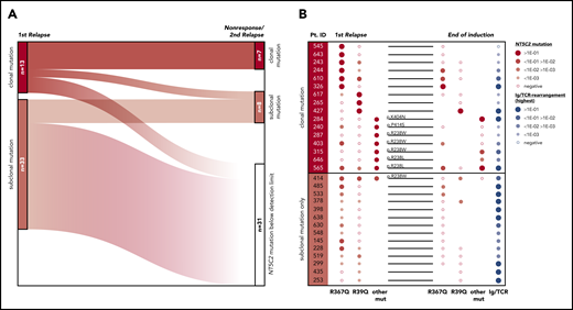 Evolutionary trajectories of NT5C2 mutations after first relapse. (A) The Sankey diagram illustrates the fate of 46 NT5C2 mutations from 34 first relapses in follow-up samples taken at the time of nonresponse to treatment or second relapse of the patients. All 46 mutations were tracked sensitively by p.R39Q, p.R238W, p.R367Q, p.K404N, or p.P414S ASQ-PCR. (B) Quantitative levels of NT5C2 mutations (red dots) at first relapse and at the end of relapse induction treatment in 16 patients with clonal and in 14 patients with subclonal mutations only. All NT5C2 mutations were tracked sensitively by p.R39Q, p.R238W, p.R238L, p.R367Q, p.K404N, or p.P414S ASQ-PCR. Minimal residual disease levels (blue dots) were assessed by immunoglobulin/ T-cell receptor (Ig/TCR) gene rearrangement quantification and are given as a measure of the overall leukemic burden in the patients at the end of induction treatment. Pt. ID, patient identifier.