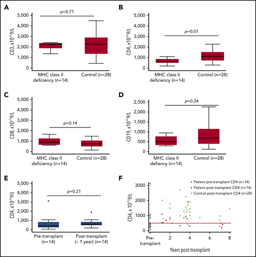 Lymphocyte subsets at latest follow-up (>1 year posttransplant). CD3+ cells (A), CD8+ cells (C), and CD19+ (D) cells were comparable between patients with MHC class II deficiency (n = 14) and controls. (B) CD4+ cells were significantly lower in patients with MHC class II deficiency compared with controls (P = .01). (E) There was no significant difference in CD4+ cells before and after transplant in patients with MHC class II deficiency. (F) Pre- and posttransplant CD4+ cells in individual patients and controls.