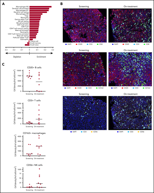 Avadomide effects signaling pathways and immune cell infiltration in DLBCL tumors. (A) RNA sequencing with immune cell deconvolution performed on screening and on-treatment (C1D10/15) biopsy specimens, showing enrichment/depletion relative to screening biopsy. (B) Cellular composition in paired tumor biopsy specimens by immunohistochemistry. Original magnification, ×20. (C) Intratumoral cell counts in screening vs on-treatment biopsy specimens by immunohistochemistry (CD20+ B cells; CD3+ T cells; CD163+ macrophages; CD56+ NK cells). DAPI, 4′,6-diamidino-2-phenylindole.