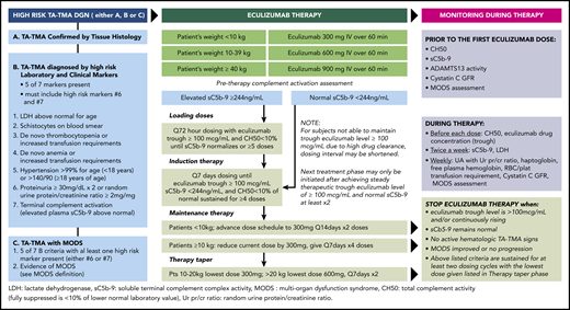 Comprehensive standard-of-care diagnostic, therapeutic, and monitoring program used to treat pediatric patients with TA-TMA. See Figure 1 in the article by Jodele et al that begins on page 1049.
