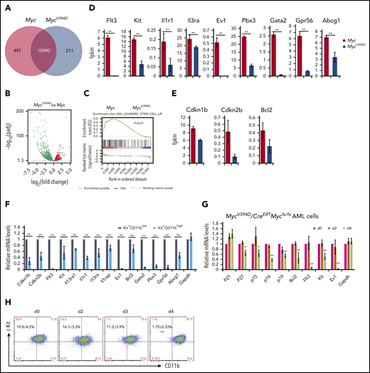 Downregulation of LSC genes in MycV394D-AML cells compared with Myc-AML cells. Myc/CreERTMycfx/fx and MycV394D/CreERTMycfx/fx AML cells were treated with 4-OHT to induce the deletion of endogenous Myc. (A-E) Myc- and MycV394D-AML cells were collected on day 4 of 4-OHT treatment and Myc deletion was confirmed. The differentially expressed genes between Myc- and MycV394D-AML cells are presented as a Venn diagram (A) and a volcano plot (B). The expression of LSC genes was analyzed by gene set enrichment analysis (C). The expression of selected LSC-related genes (D) and Myc-Miz1 target genes (E) were compared between Myc- and MycV394D-AML cells. (F) Kit+CD11blow LSCs and Kit+CD11bhigh leukemic blasts were purified from Myc-AML cells. The expression of selected LSC genes and Myc-Miz1 target genes was examined by quantitative real-time PCR (qRT-PCR) assay and compared. (G-H) MycV394D/CreERTMycfx/fx AML cells were treated with 4-OHT to induce the deletion of endogenous Myc. Cells were collected on day 0 (vehicle), day 2, and day 4 after 4-OHT treatment. The expression of the selected genes was examined by qRT-PCR and normalized to messenger RNA (mRNA) levels for day 0 (G). The percentages of Kit+CD11blow LSCs and Kit+CD11bhigh leukemic blasts were examined by flow cytometry (H). *P < .05; **P < .01. fpkm, fragments per kilobase of transcript per million mapped reads.