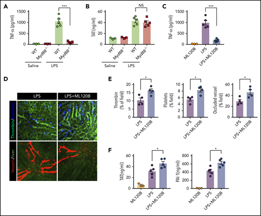 Inhibition of NF-kB activation enhanced LPS-induced coagulation. (A) Plasma concentration of TNF-α was measured at 1 hour after Myd88-deficient and WT mice were injected with 0.4 mg/kg of LPS. (B) Plasma concentration of TAT was measured in Myd88-deficient and WT mice primed with 0.4 mg/kg of LPS and then challenged with 10 mg/kg of LPS for 8 hours. (C-F) WT mice were treated with or without the IKKβ inhibitor ML120B (400 mg/kg by oral gavage twice daily for 4 days). Plasma concentration of TNF-α was measured at 1 hour after 0.4 mg/kg of LPS was injected into mice pretreated with or without ML120B (C). Representative SD-IVM images of thrombin (green), platelet adhesion (blue), and albumin (red) within the liver microvasculature in mice pretreated with or without ML120B, and then challenged with 4 mg/kg of LPS for 6 hours (D). Quantitative analysis of thrombin, platelets, and occluded vessels within the liver microcirculation by using ImageJ software (E). Plasma concentration of TAT complexes and PAI-1 were detected in mice pretreated with or without ML120B, and primed with 0.4 mg/kg of LPS for 7 hours followed by10 mg/kg of LPS for 8 hours (F). *P < .05; ***P < .001. NS, not significant.
