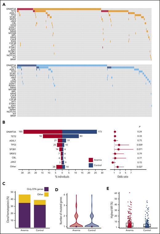 Spectrum of CH for cases with anemia and control individuals. (A) Mutational landscapes for all somatic mutations detected in the anemia (top, red) and control (bottom, blue) cohort. A darker shade indicates 2 or more mutations in the same gene for the respective individual. (B, left) contribution of recurrently mutated genes to the spectrum of CH detected in the anemia (red) and control (blue) cohort. Bars indicate the proportion of individuals with a gene mutation, whereas absolute frequencies are noted for each gene. Forest plot indicating the ORs (circles) and 95% CIs (horizontal lines) for recurrently mutated genes occurring in cases with anemia as compared with control individuals (right). P values are from Fisher’s exact test. The category “other” includes all genes with mutations detected fewer than 10 times. (C) Contribution of CH restricted to DTA (DNMT3A, TET2, ASXL1) genes vs other mutational patterns to the spectrum of CH in cases with anemia and control individuals. (D) Violin plot showing the distribution in the number of mutated genes for cases with anemia (red) and control individuals (blue) with CH. Median number of mutated genes is shown for each cohort (gray rectangles). (E) Highest VAFs detected among individuals with CH from the anemia (red) and control (blue) cohort. Box and whisker plots: boxes represent median, first and third quartiles, with whiskers extending to 1.5× interquartile range.