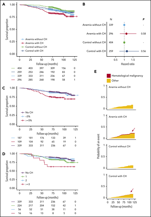 Distinct features of CH and anemia predict for OS. (A) Kaplan-Meier curves for OS, stratified according to the presence of anemia and CH (n = 1298). (B) Forest plot for the risk for death for cases with anemia (n = 635) and control individuals (n = 663) stratified according to the presence of CH. Cox proportional hazards regression included age and sex as covariates. Absence of CH was used as a reference for both cohorts. Circles indicate the HR for each cohort, with horizontal lines corresponding to 95% CIs. (C) Kaplan-Meier curves for OS in the anemia cohort (n = 635) according to largest clone size detected (<5% or ≥5%) or the absence of CH. (D) Kaplan-Meier curves for OS in the anemia cohort (n = 635), according to the number of mutated genes or the absence of CH. (E) Cumulative incidence graphs for mortality from hematological malignancies, stratified according to the presence of anemia and CH (n = 1298). Data on reported primary cause of death were obtained by linkage to the national registry of death statistics. Results for this analysis are based on calculations by the authors using nonpublic microdata from Statistics Netherlands. Colors indicate death from hematological malignancies (red) or other causes (orange).