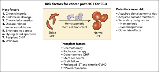 Potential risk factors for cancer following allogeneic hematopoietic stem cell transplant (HCT) for SCD. GVHD, graft-versus-host disease; IST, immunosuppression therapy; RBC, red blood cells.