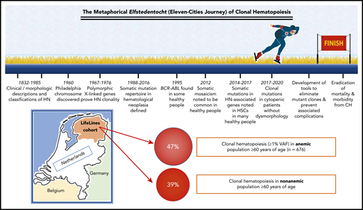 Milestones in understanding clonal hematopoiesis and preventing complications. The Elfstedentocht is an iconic 200-km ice-skating marathon along the canals, lakes, and rivers linking 11 cities in Friesland, the northernmost province in The Netherlands. Along with the neighboring province of Groningen, Friesland contributed most of the patients to the LifeLines population cohort and to the new study by van Zeveneter and colleagues, in which somatic mutations were found to be slightly more common in anemic elderly people compared to nonanemic controls, but common in both groups. The Elfstedentocht can only take place in the heart of winter after a long period of cold weather, when ice thickness reaches ≥15 cm along the along the entire skating route. Perhaps due to global warming, the event has not been held since 1997, and an “alternative” route has been substituted in colder Austria. Before 1960 and discovery of the Philadelphia chromosome, the genetic basis of hematological neoplasia was not understood. In the 1990s, molecular biology techniques permitted the observation that the same genetic variants associated with neoplasms, such as chronic myeloid leukemia, are sometimes present in blood cells in healthy people, albeit transiently, while the high prevalence and stability of certain types of expanded hematopoietic clones were definitively demonstrated in large-cohort and population-based studies of somatic mosaicism from 2012 onward. The next historical “milestones” along this lengthy journey of discovery and translation will include development of methods to eliminate dangerous mutant clones and prevent their complications, including cytopenias, inflammatory complications, and clonal progression. CH, clonal hematopoiesis; HN, hematological neoplasms; HSC, hematopoietic stem cells.