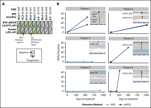 Analysis of BTK mutations in patients with R/R CLL who progressed during acalabrutinib treatment. (A) Summary of mutations detected in BTK across 2 different platforms. Text in parentheses indicates limits of mutation allele frequency (AF) detection. Each triangle represents a sample assessed at pretreatment baseline (left) or at progression (right); gray indicates wild-type BTK and green indicates BTK C481X mutation. (B) AF of BTK mutations in 6 patients with mutations at progression. Three time points are shown as a line plot for each patient and for each BTK mutation. The inset shows raw next-generation sequencing data from the integrated genome viewer of the BTK mutation at the progression time point. If 2 mutations coexisted in a single patient sample, separate reads are provided for each independent clone. Raw variant allele frequency (VAF) in Integrative Genomics Viewer (IGV) inset where filtered VAF plotted in line charts. PtID, patient identifier; WES, whole-exome sequencing.