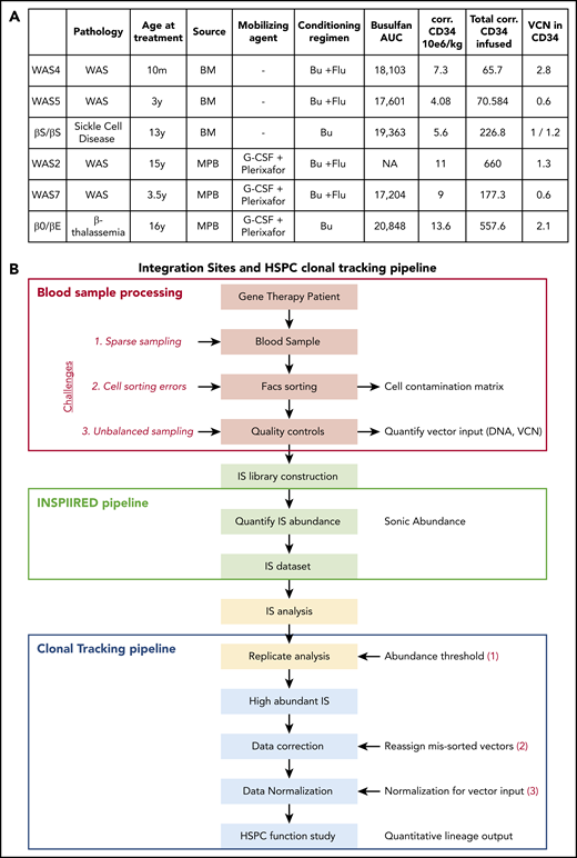 HSPC lineage tracking in human gene therapy trials. (A) Characteristics of the gene therapy patients studied here. AUC, area under the curve; Bu, busulfan; corr.: corrected; Flu, fludarabine; y: year; m: month. (B) Workflow for the IS clonal tracking analysis, from patient blood sample processing, IS library construction, and IS data preparation to functional studies of the HSPCs.